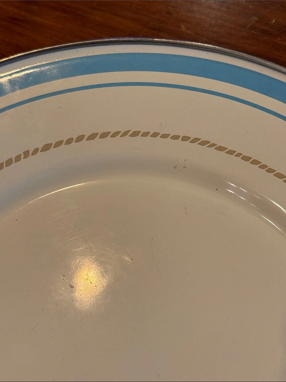 NWOT Target American Picnic Enamel Plate 11”White With Blue Trim Rope Metal NEW!